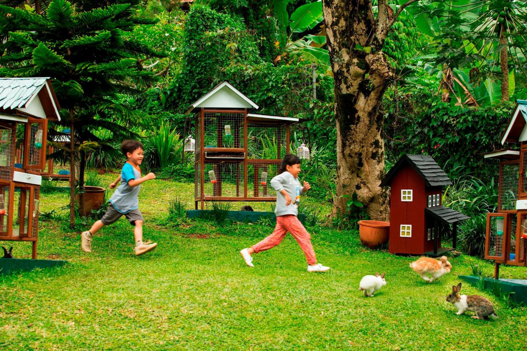 Novus Giri Resort & Spa Puncak Kültér fotó